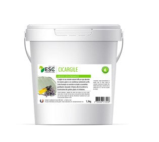 Cicargile - ESC Laboratoire