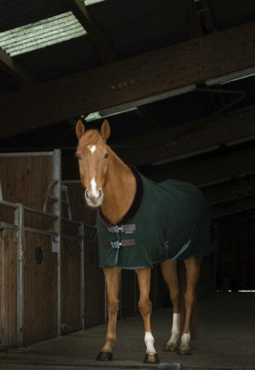 Chemise Polaire Teddy - Equitheme