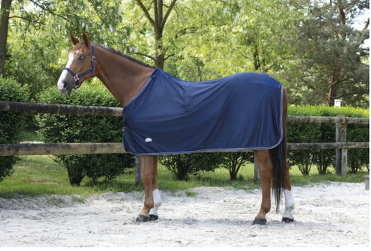 Chemise Séchante Microfleece - Equitheme