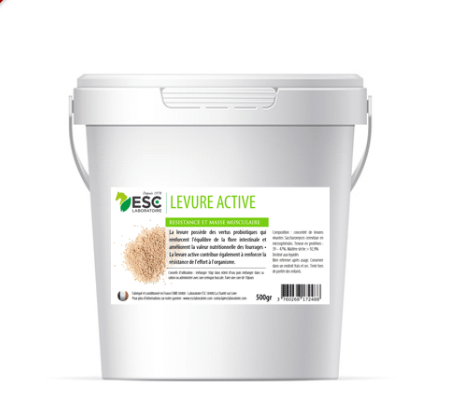 Levure Active + - Probiotique flore intestinale et digestion cheval - ESC Laboratoire